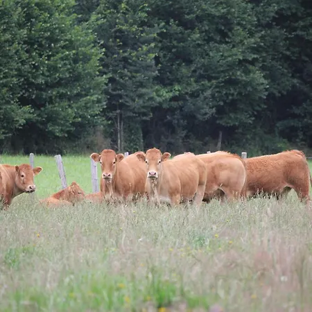 Maison Familiale Dans Le Perche Lejlighed